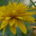 捕鱼大作战游戏平台深度优化画质与社交竞赛模式升级 427q70f