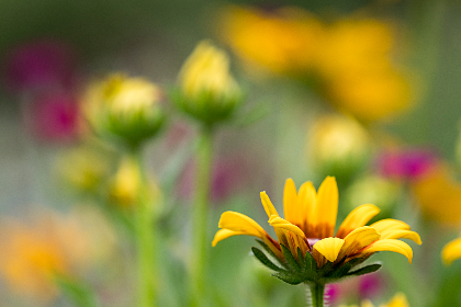 战神娱乐网址最新新闻动态与官方活动公告全方位解读