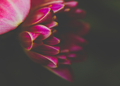 对外围赌博平台的监管风险与消费者防骗指南综述