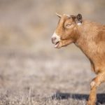 必赢娱乐平台官网全面解锁安全合规的在线娱乐体验 zbkn7