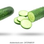 202544期3D开奖号码最新公布结果查询 12ipbgx78