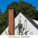 202541期开奖结果最新公布与详细号码查询 7bhbocepr