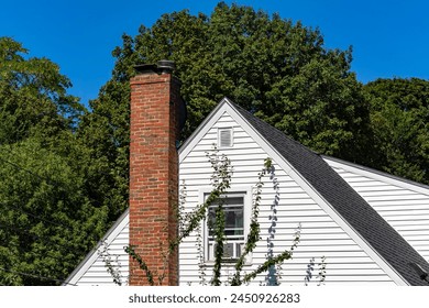 202541期开奖结果最新公布与详细号码查询 202541期开奖结果最新公布与详细号码查询