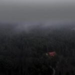 202536期开奖结果震撼揭晓,大奖花落谁家引关注 9jyx5770