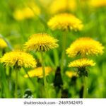 202565期开奖结果最新公布震撼揭晓 9pjdaqz