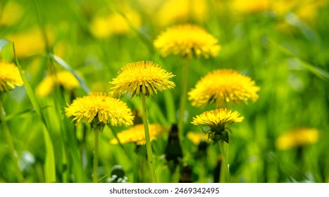 202565期开奖结果最新公布震撼揭晓 202565期开奖结果最新公布震撼揭晓