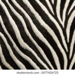 2025年2月19日最新开奖结果正式公布 a5oz55p3