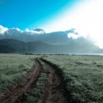 2025年3D开奖100期历史全纪录查询 ky96f4d1n