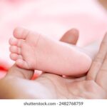 20253d开奖第223期开奖号码结果查询 nc971ghy