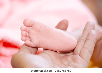 20253d开奖第223期开奖号码结果查询 20253d开奖第223期开奖号码结果查询