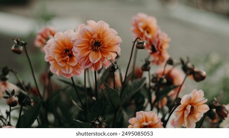 2025年2月5日最新开奖结果查询与公布 2025年2月5日最新开奖结果查询与公布