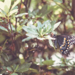 ESPN体育赛事高清直播全程精彩呈现 trexfx